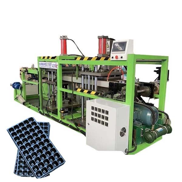 Uneven Seedling Trays & Low Capacity? All Problems Solved. - News - Qingdao Eaststar Plastic Machinery Co.,Ltd.
